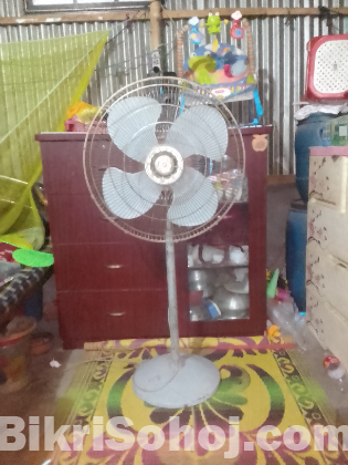 24 অরজিনাল পাকিস্তানি ফ্যান
